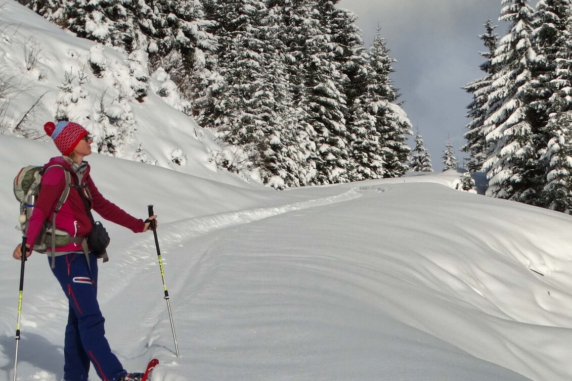 Snowshoe Walking Handlalmrunde - Touren-Impression #1 | © Tourismusverband ERZBERG LEOBEN