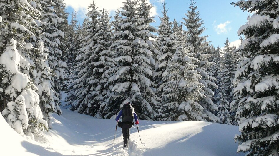 Snowshoe Walking Handlalmrunde - Touren-Impression #2.7 | © Tourismusverband ERZBERG LEOBEN