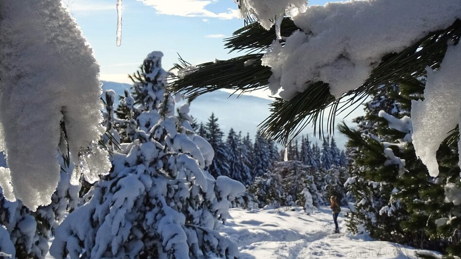 Snowshoe Walking Handlalmrunde - Touren-Impression #2.8 | © Tourismusverband ERZBERG LEOBEN