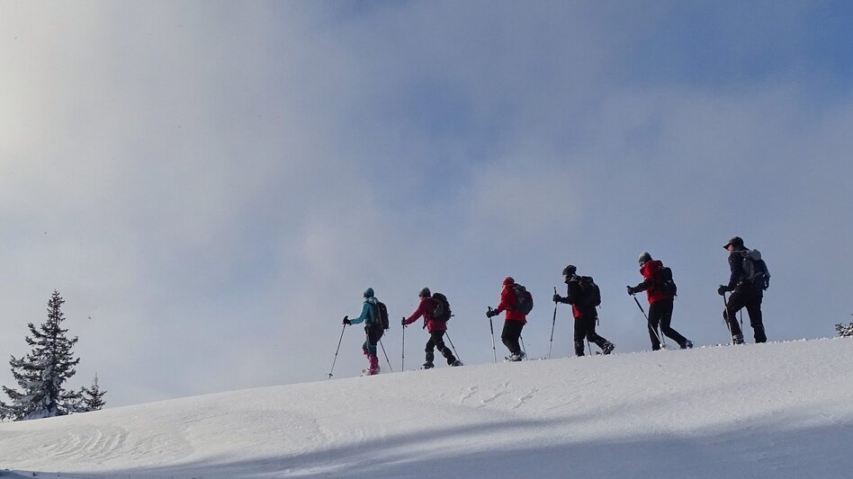 Snowshoe Walking Handlalmrunde - Touren-Impression #2.10 | © Tourismusverband ERZBERG LEOBEN