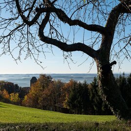 View from the Hausberg sunny side | © Oststeiermark Tourismus