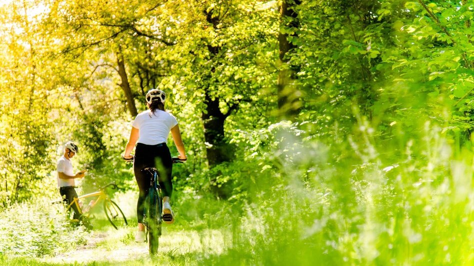 Radfahren Fluss und Abenteuer 732 - Touren-Impression #2.2 | © Region Graz