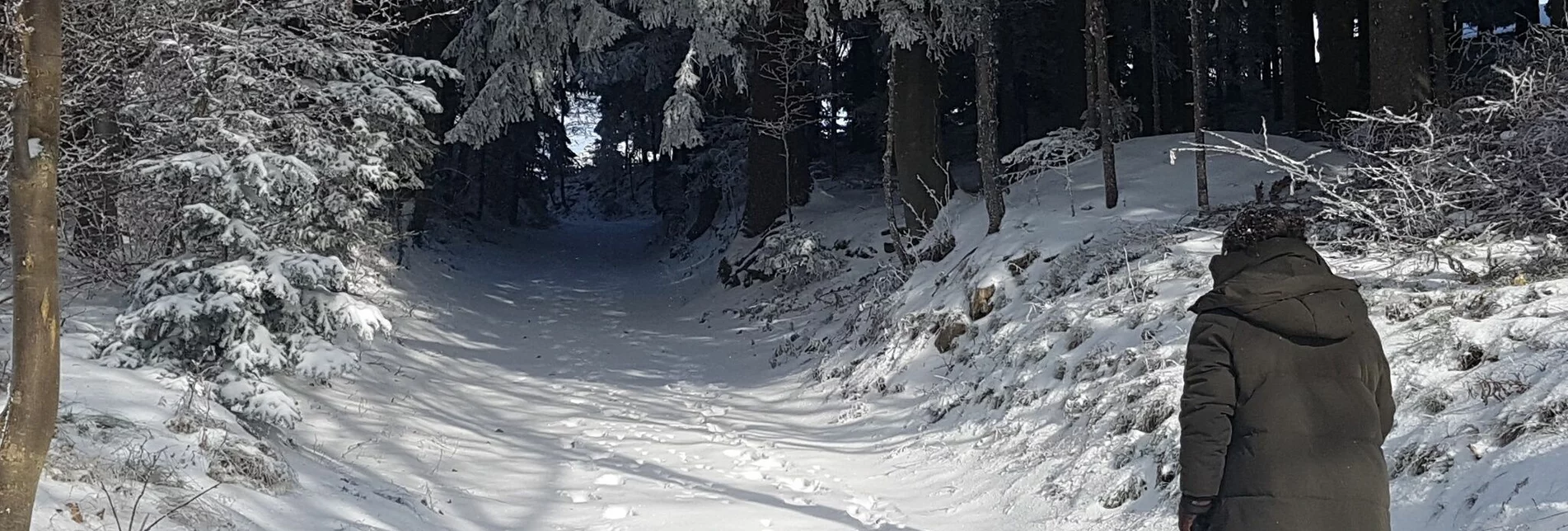 Winter Hiking Winter hiking in Masenberg, Pöllauberg - Touren-Impression #1 | © Oststeiermark Tourismus
