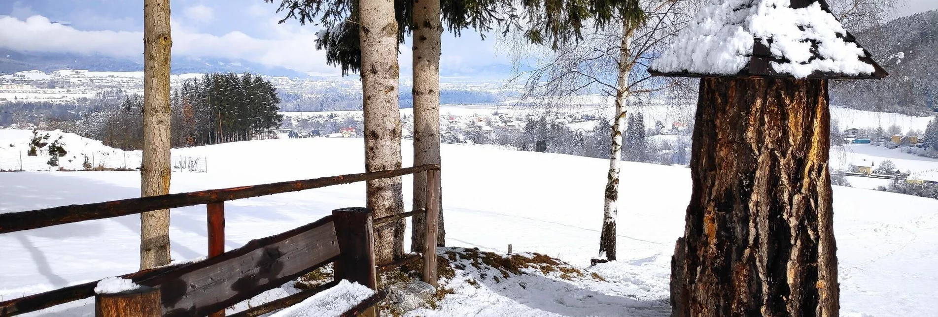 Winterwandern Winterwanderung auf dem  Waldrundweg in Lobming - Touren-Impression #1 | © WEGES OG