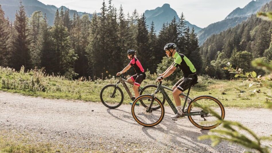 Mountainbike Johnsbacher Almenrunde mit dem MTB - Touren-Impression #2.8 | © TV Gesäuse