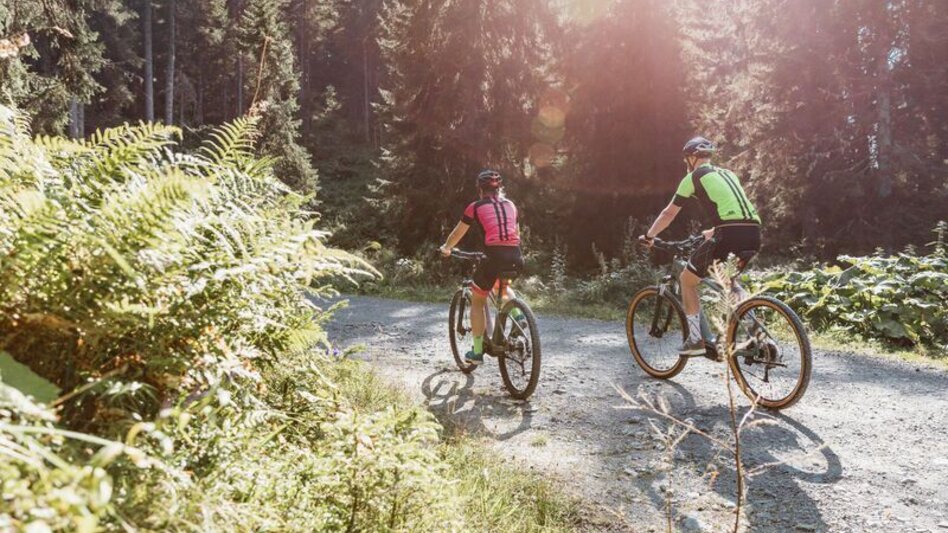 Mountainbike Johnsbacher Almenrunde mit dem MTB - Touren-Impression #2.11 | © TV Gesäuse