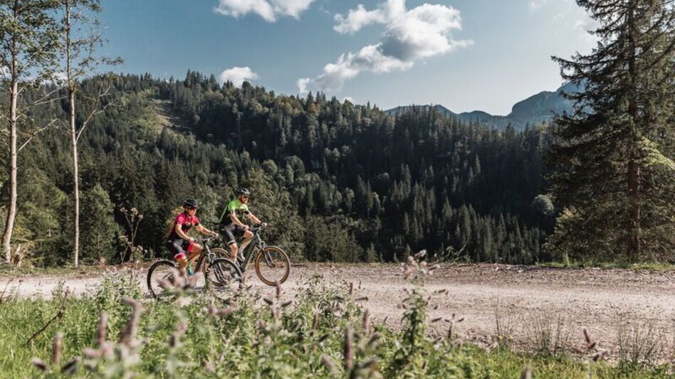 Mountainbike Johnsbacher Almenrunde mit dem MTB - Touren-Impression #2.12 | © TV Gesäuse