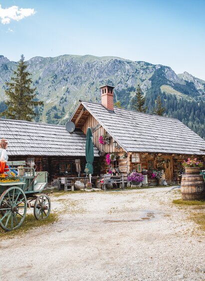 Ebneralm entlang der Almenrunde | © TV Gesäuse | Thomas Sattler | © TV Gesäuse