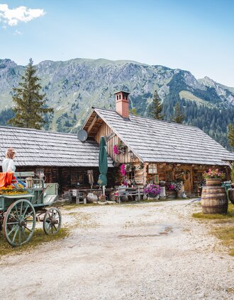 Ebneralm entlang der Almenrunde | Thomas Sattler | © TV Gesäuse