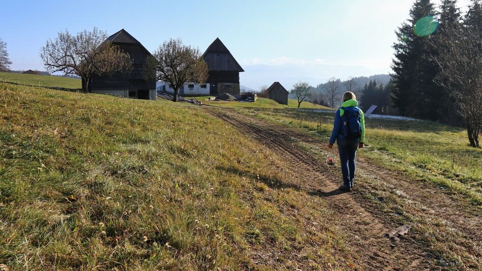 Winter Hiking Winter hike in Seckau - Touren-Impression #2.5 | © WEGES OG