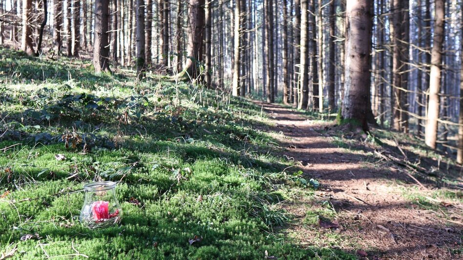 Winter Hiking Winter hike in Seckau - Touren-Impression #2.7 | © WEGES OG