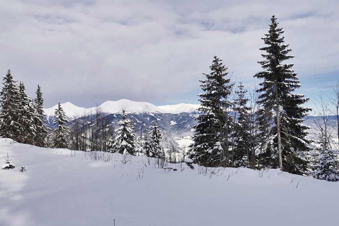 Winter Hiking Winter hike in Seckau - Touren-Impression #1 | © Weges OG