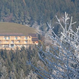 Waldhof Muhr mit Raureif | © Oststeiermark Tourismus