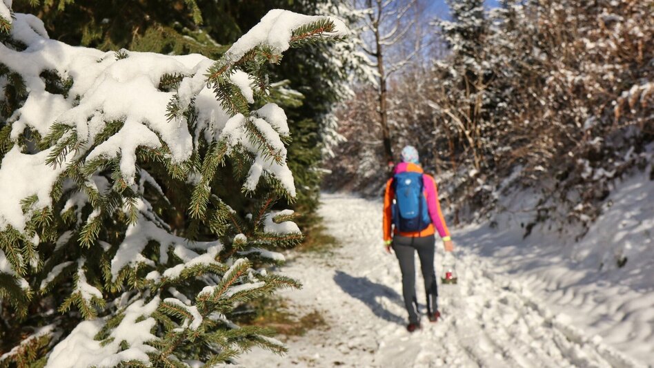 Winterwandern Winterwanderung am Gleinberg - Touren-Impression #2.5 | © Weges OG