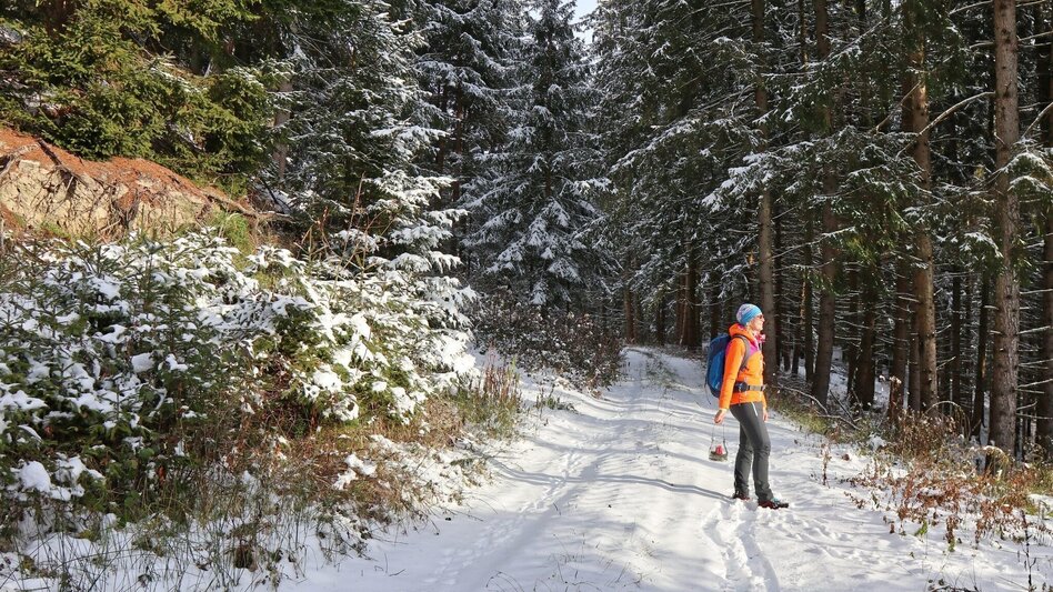 Winterwandern Winterwanderung am Gleinberg - Touren-Impression #2.8 | © Weges OG