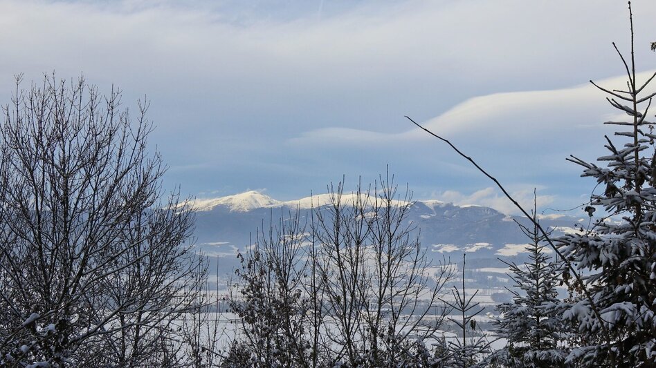 Winterwandern Winterwanderung am Gleinberg - Touren-Impression #2.9 | © Weges OG