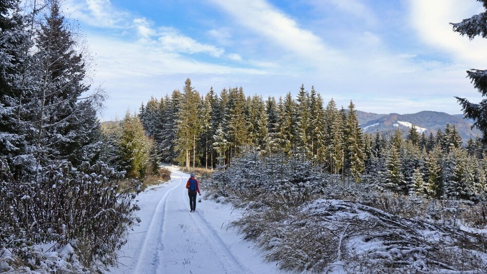 Winterwandern Winterwanderung am Gleinberg - Touren-Impression #2.10 | © Weges OG