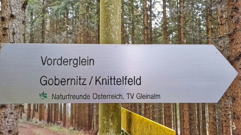 Winterwandern Winterwanderung am Gleinberg - Touren-Impression #2.11 | © Weges OG