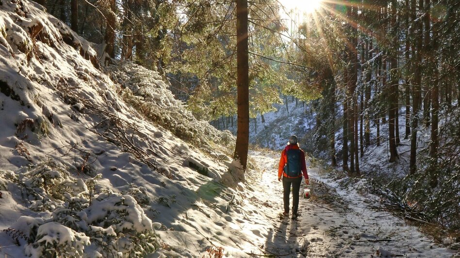 Winterwandern Winterwanderung am Gleinberg - Touren-Impression #2.12 | © Weges OG