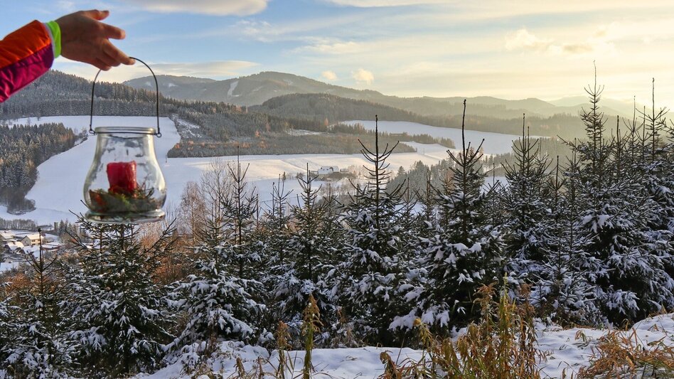 Winterwandern Winterwanderung am Gleinberg - Touren-Impression #2.13 | © Weges OG