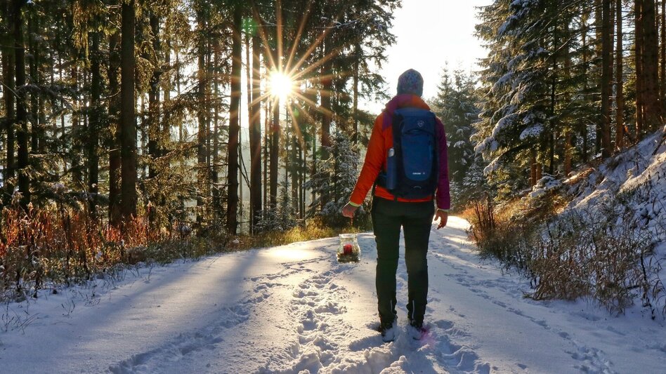 Winterwandern Winterwanderung am Gleinberg - Touren-Impression #2.1 | © Weges OG