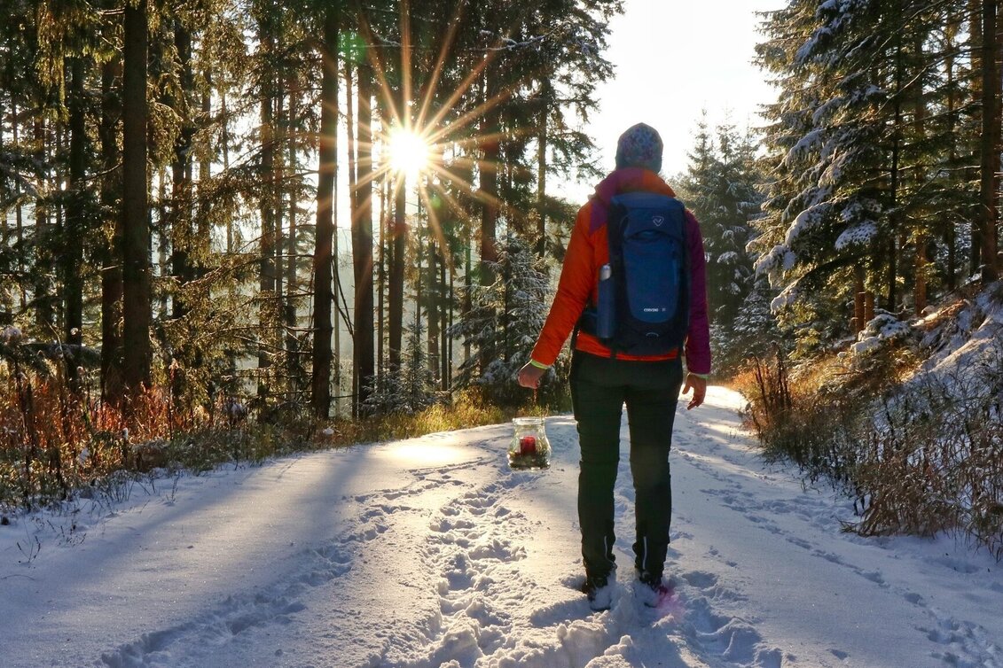 Winterwandern Winterwanderung am Gleinberg - Touren-Impression #1 | © Weges OG