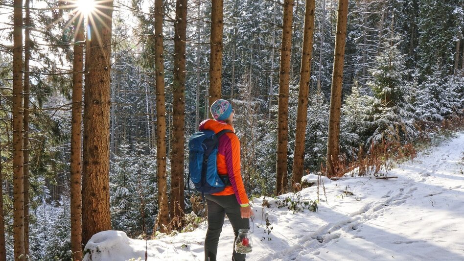 Winterwandern Winterwanderung am Gleinberg - Touren-Impression #2.16 | © Weges OG