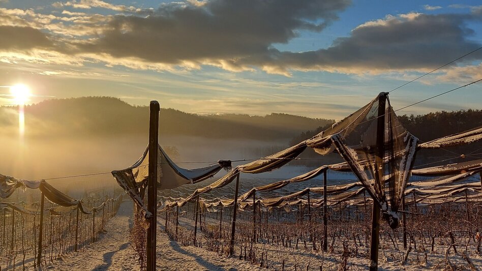 Winter Hiking 7 places 7 treasures winter hike - Touren-Impression #2.3 | © Oststeiermark Tourismus