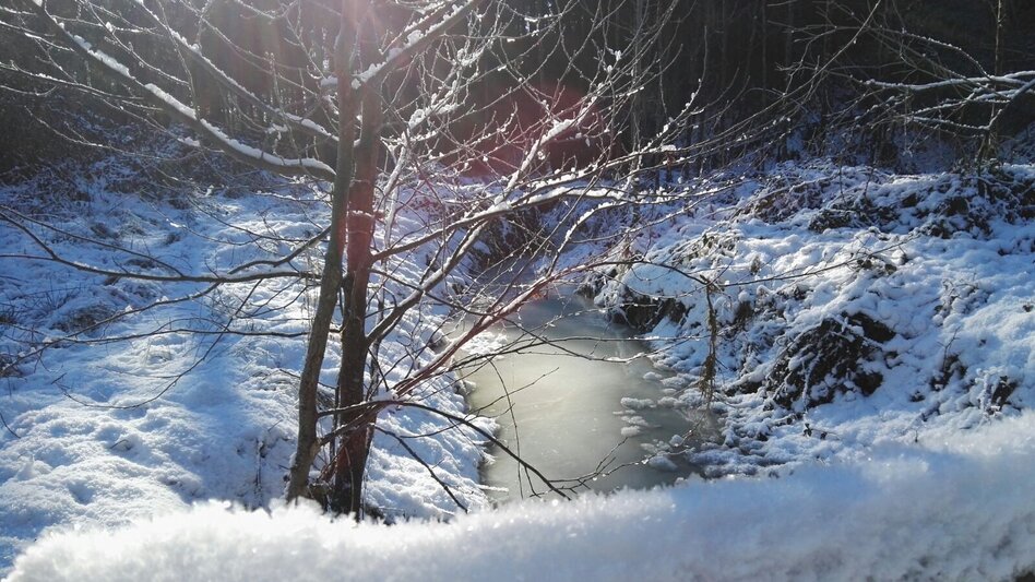 Winter Hiking 7 places 7 treasures winter hike - Touren-Impression #2.5 | © Oststeiermark Tourismus