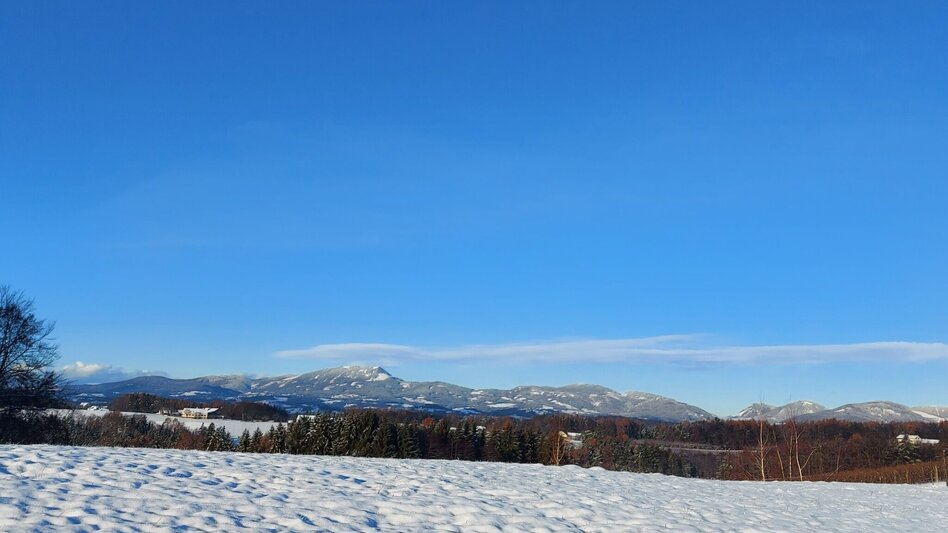 Winter Hiking 7 places 7 treasures winter hike - Touren-Impression #2.7 | © Oststeiermark Tourismus