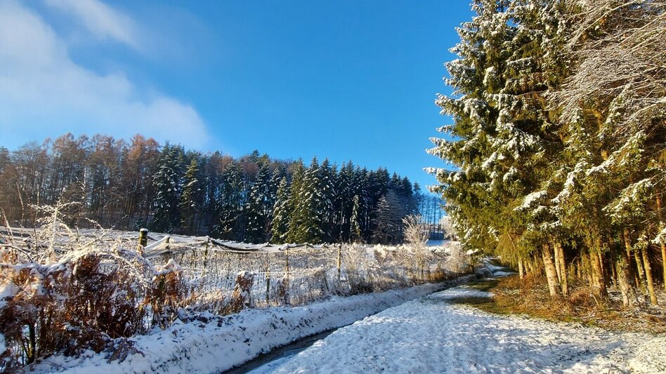 Winter Hiking 7 places 7 treasures winter hike - Touren-Impression #2.8 | © Oststeiermark Tourismus