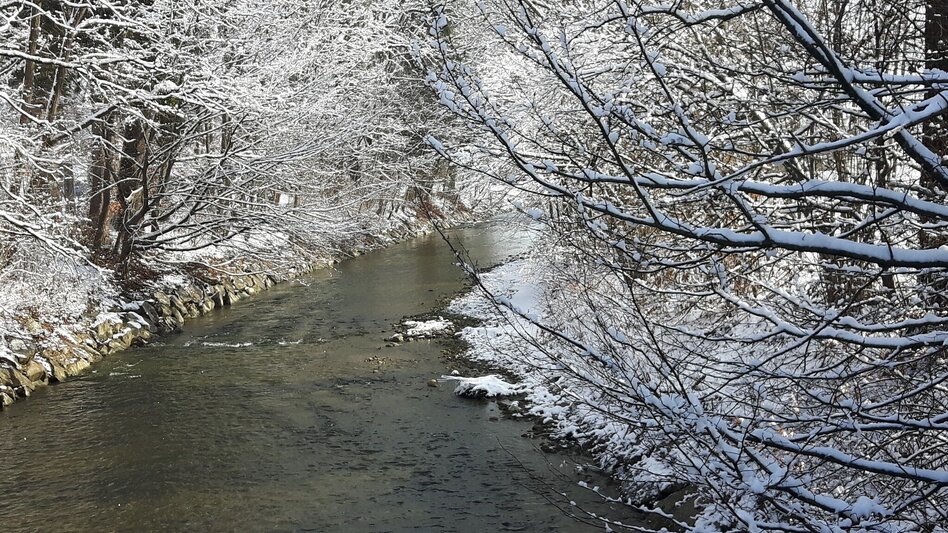 Winter Hiking 7 places 7 treasures winter hike - Touren-Impression #2.12 | © Oststeiermark Tourismus
