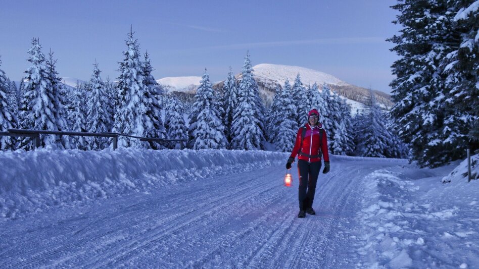 Winter Hiking Winter hike to the sunrise on the Gaberl - Touren-Impression #2.4 | © Weges OG