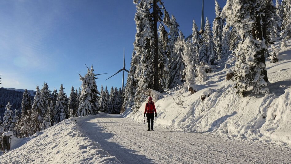 Winter Hiking Winter hike to the sunrise on the Gaberl - Touren-Impression #2.10 | © Weges OG