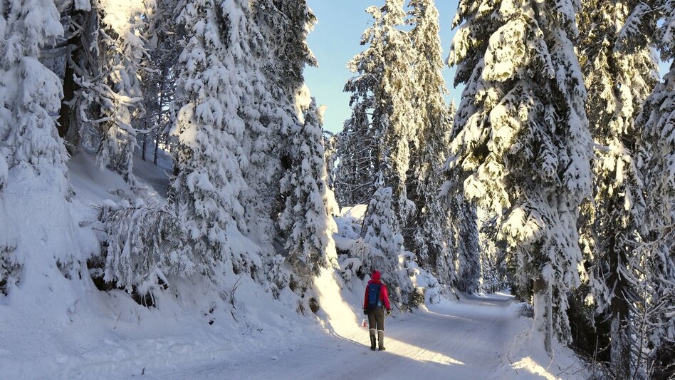 Winter Hiking Winter hike to the sunrise on the Gaberl - Touren-Impression #2.11 | © Weges OG