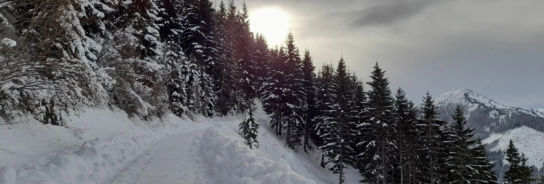 Winter Hiking Winter hike Fischeralmweg - Touren-Impression #1 | © Erlebnisregion Schladming-Dachstein
