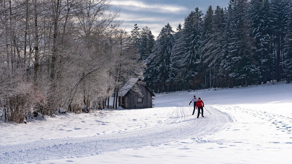 Ski-Nordic Classic Cross-country ski trail Seckau - Touren-Impression #2.3 | © Erlebnisregion Murtal