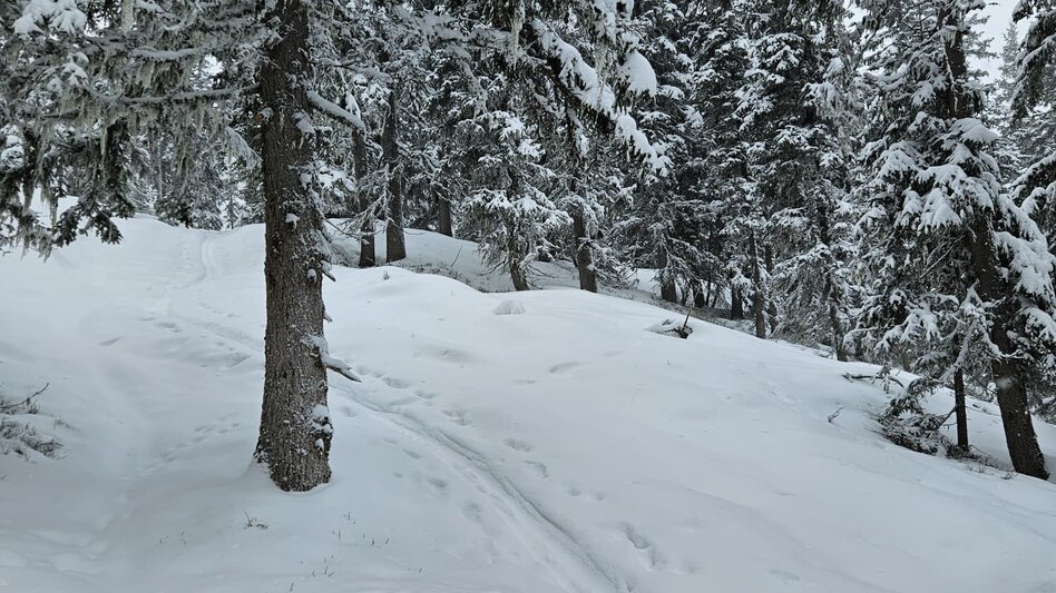 Ski Touring Ski tour Planai - Touren-Impression #2.11