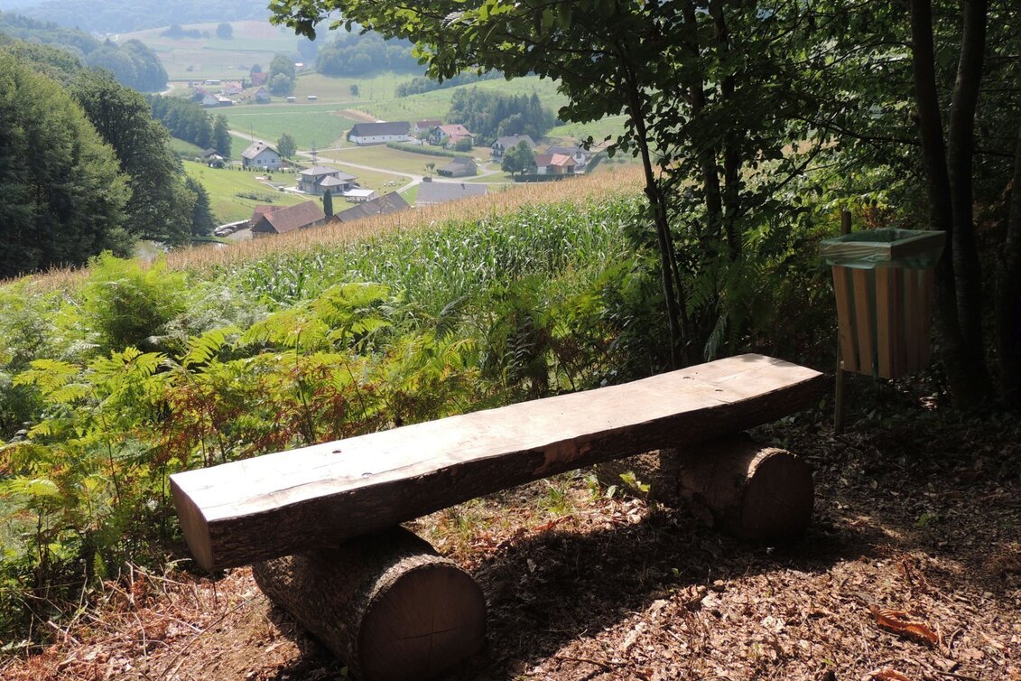 Wanderung Ludersdorfer Bankerlweg - Touren-Impression #1 | © Privat