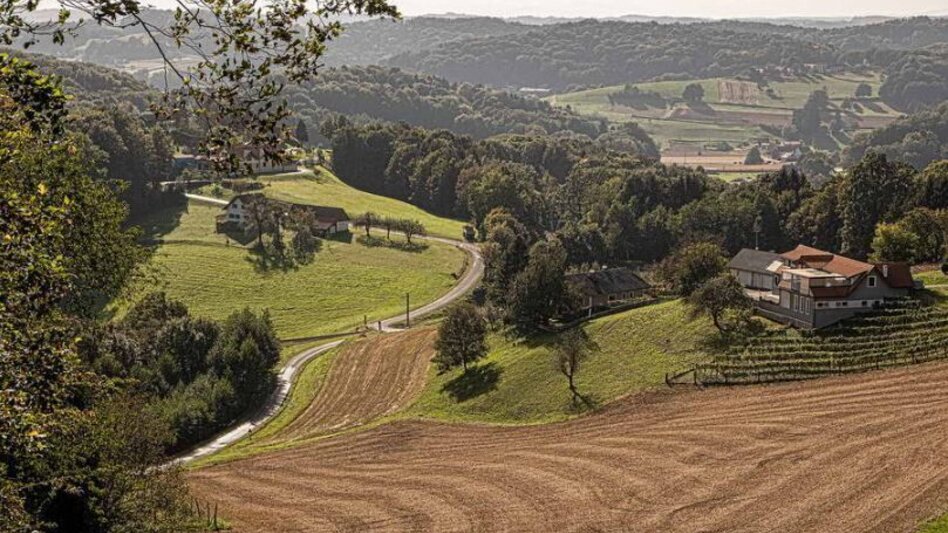 Wanderung Ludersdorfer Bankerlweg - Touren-Impression #2.5 | © Privat