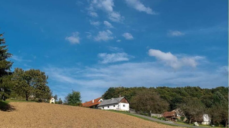 Wanderung Ludersdorfer Bankerlweg - Touren-Impression #2.10 | © Privat