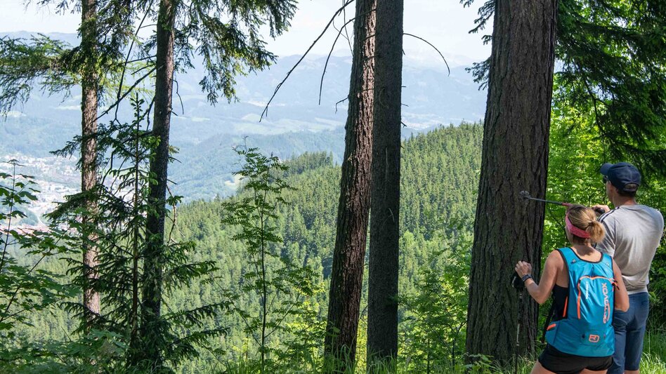 Nordic Walking Lauf- und Walkingstrecke im Weitental (schwarze Route) - Touren-Impression #2.2 | © Hochsteiermark