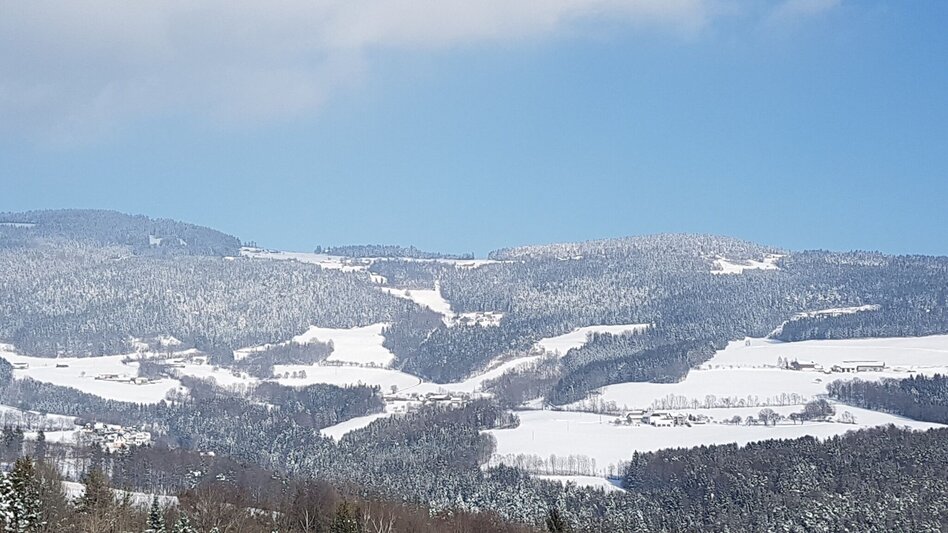 Winterwandern Winterwandern über Pöllau und Pöllauberg , RETTER Pöllauberg - Touren-Impression #2.5 | © Oststeiermark Tourismus