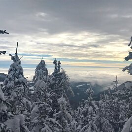 Winterwandern Gösser & Lärchsattel | © Oststeiermark Tourismus