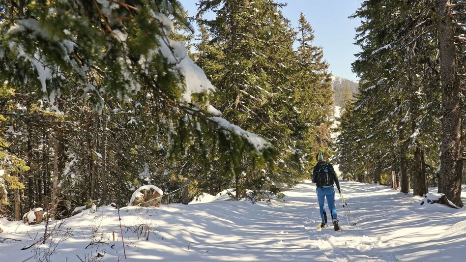 Schneeschuhwandern Schneeschuhwanderung - vom Salzstiegelhaus auf den Rappoldkogel - Touren-Impression #2.2 | © Weges OG