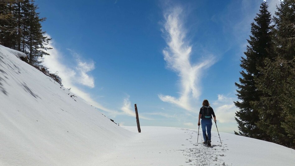 Schneeschuhwandern Schneeschuhwanderung - vom Salzstiegelhaus auf den Rappoldkogel - Touren-Impression #2.4 | © Weges OG