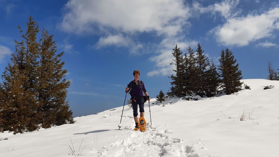 Schneeschuhwandern Schneeschuhwanderung - vom Salzstiegelhaus auf den Rappoldkogel - Touren-Impression #2.7 | © Weges OG