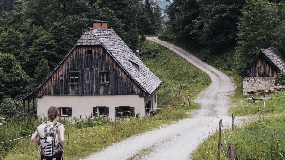 Hiking Route Hartelsgraben - Touren-Impression #2.4 | © TV Gesäuse