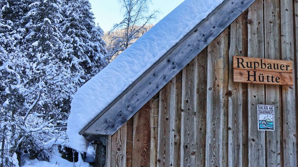 Schneeschuhwandern Schneeschuhwanderung Wildalm - Touren-Impression #2.3 | © Weges OG