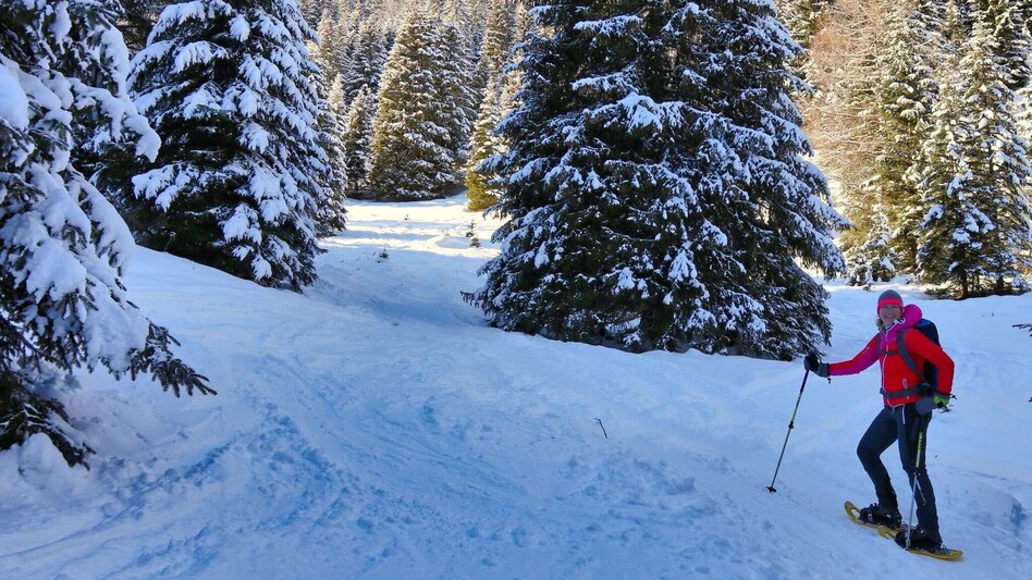 Schneeschuhwandern Schneeschuhwanderung Wildalm - Touren-Impression #2.4 | © Weges OG